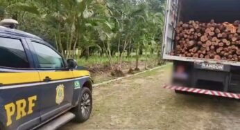 PRF apreende caminhão com carga de madeira nativa sem documentação em Tianguá (CE)