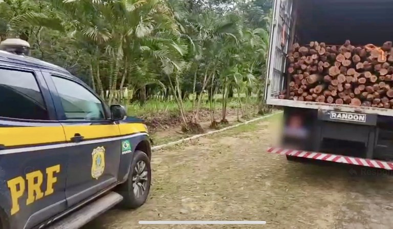 PRF apreende caminhão com carga de madeira nativa sem documentação em Tianguá (CE)
