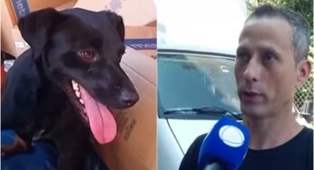 Caminhoneiro busca por sua cadela Mika, desaparecida há um mês em São Paulo