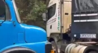 Caminhoneiro que evitou acidente no Paraná fala sobre o caso