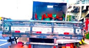 PRF flagra quatro pessoas sendo transportadas em compartimento de carga na BR-324, em Salvador