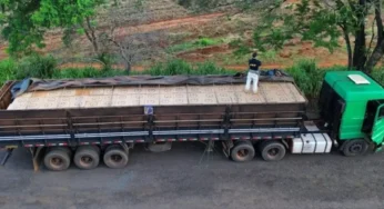 Caminhoneiro foge da PRF e abandona 400 mil maços de cigarros em plantação de cana