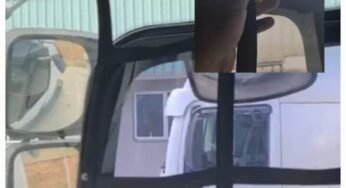 Para que servem as telas nas janelas dos caminhões?