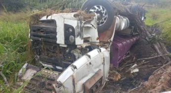 Caminhão perde freio e capota após colisão na GO-330, em Catalão (GO)