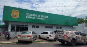 Caminhoneiro é preso em flagrante por sumir com carga de R$ 270 mil em eletrodomésticos na BR-343, em Teresina