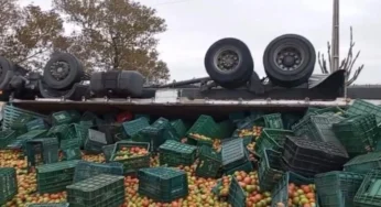 Caminhoneiro morre após tombamento de carga de tomates na CE-138, no Ceará