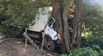 Caminhoneiro morre preso às ferragens após bater em árvore em Serrania (MG)