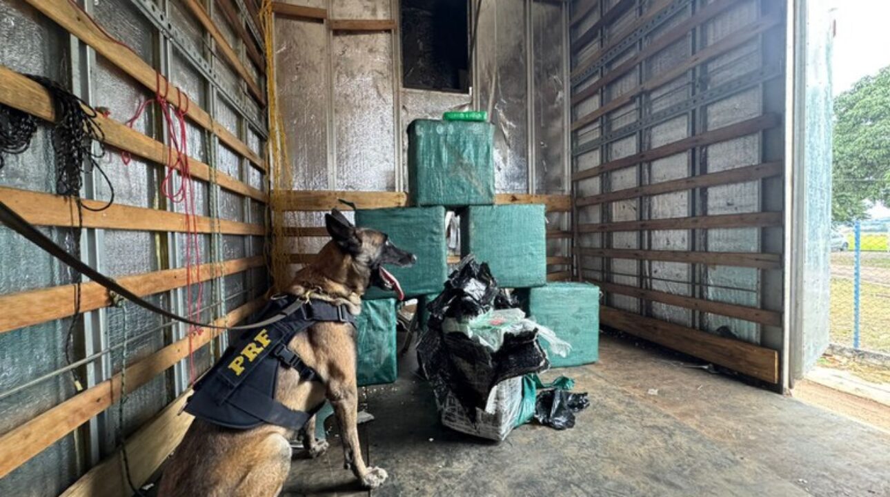 PRF apreende caminhão com uma carga suspeita em fundo falso.