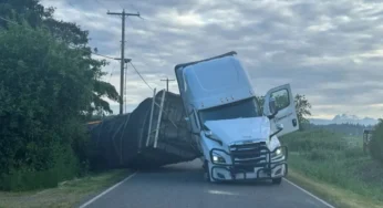 Acidente nos EUA libera 250 milhões de abelhas na estrada após tombamento de caminhão