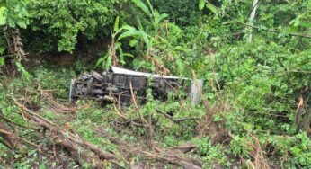 Caminhão despenca de ribanceira na BR-104 em Alagoas; passageiro fica ferido