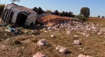Caminhoneiro morre após tombamento de veículo em rodovia de Ribeirão Preto