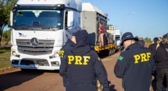 PRF escolta elefanta Kenya em travessia internacional até santuário no Brasil