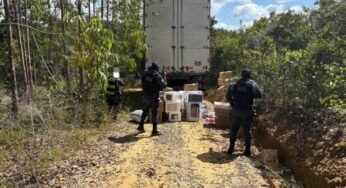 Caminhoneiro é feito refém durante assalto na BR-101, na Bahia