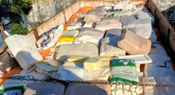 PRF apreende 6 toneladas de queijo transportado em sacos de adubo e sem refrigeração em Caxias (MA)