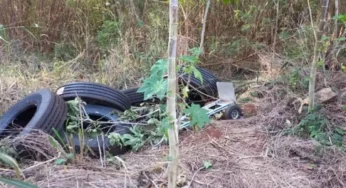 Pneus de transportadora é encontrado no meio do mato.