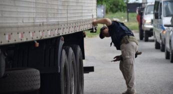 Motorista é preso após apresentar documentos falsos na BR-040, em Duque de Caxias