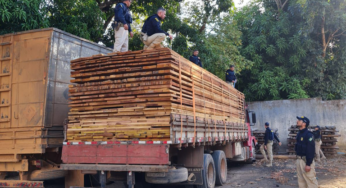 Carga de madeira sem documentação é apreendida pela PRF em Marabá (PA)