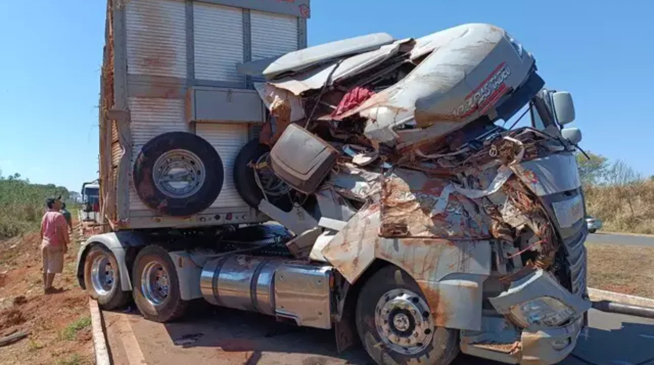 Tombamento de caminhão boiadeiro interdita BR-060 por 14 horas e deixa dezenas de animais mortos