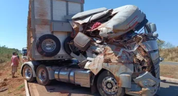 Tombamento de caminhão boiadeiro interdita BR-060 por 14 horas e deixa dezenas de animais mortos