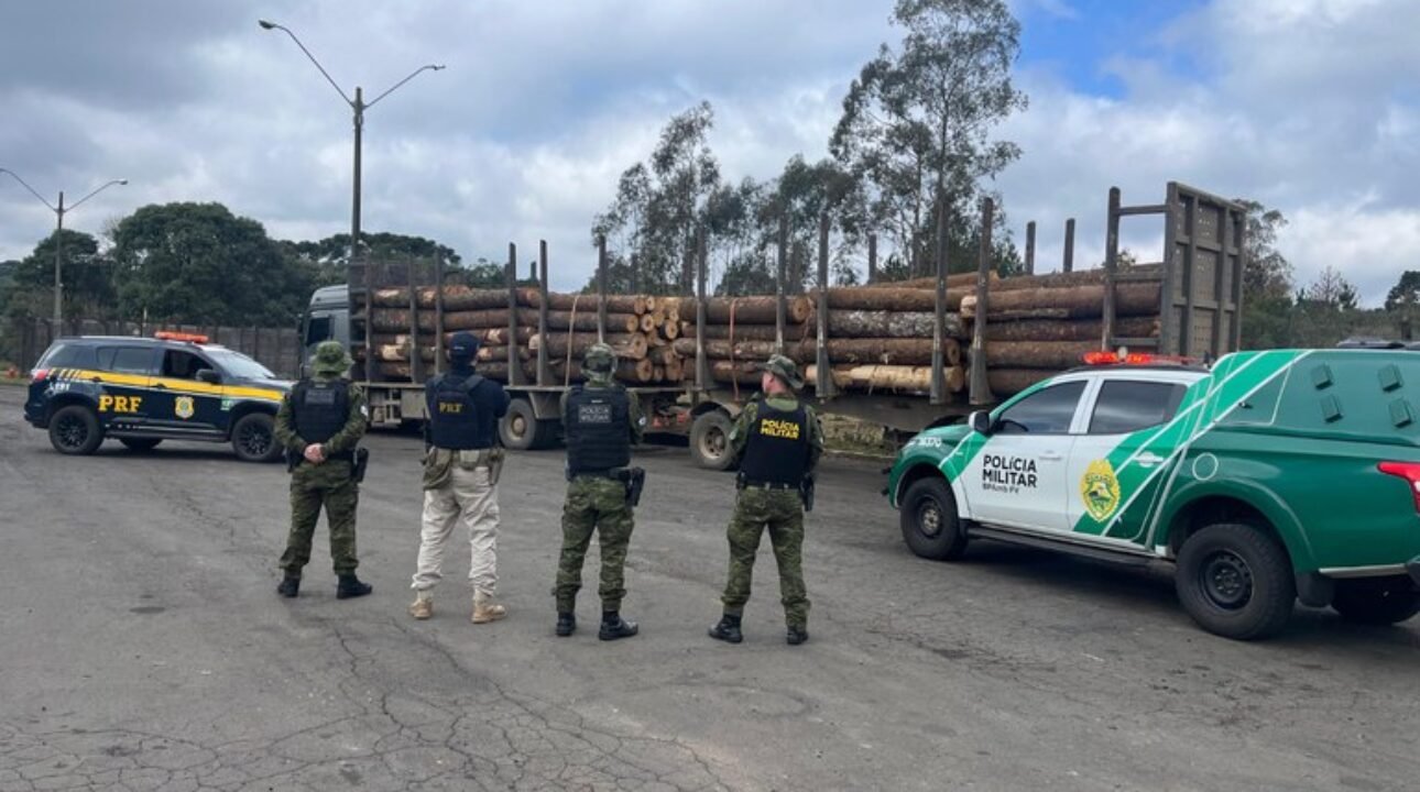 PRF e PM apreendem mais de 40 m³ de madeira de araucária sem documentação na BR‑277 em Guarapuava (PR)