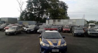 PRF realiza leilão de mais de 2 mil veículos apreendidos ou abandonados em rodovias federais de SC