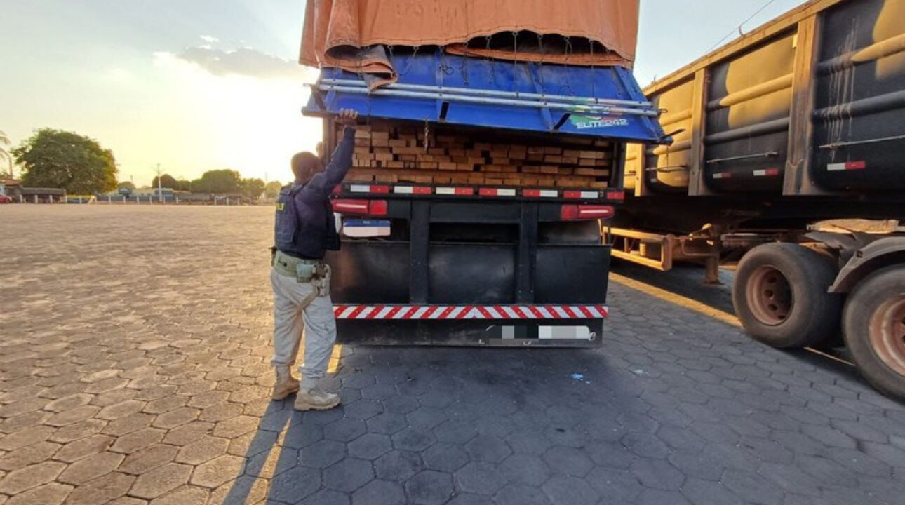 PRF apreende 72 m³ de madeira irregular abandonada em posto na BR-153, Tocantins