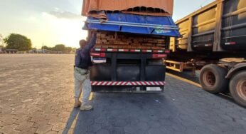 PRF apreende 72 m³ de madeira irregular abandonada em posto na BR-153, Tocantins