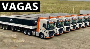 Transportadora Natal abre novas vagas para motorista em Goiás e Distrito Federal