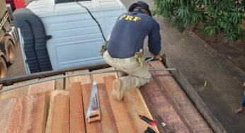PRF apreende 138,8 m³ de madeira irregular na BR-230, no Tocantins