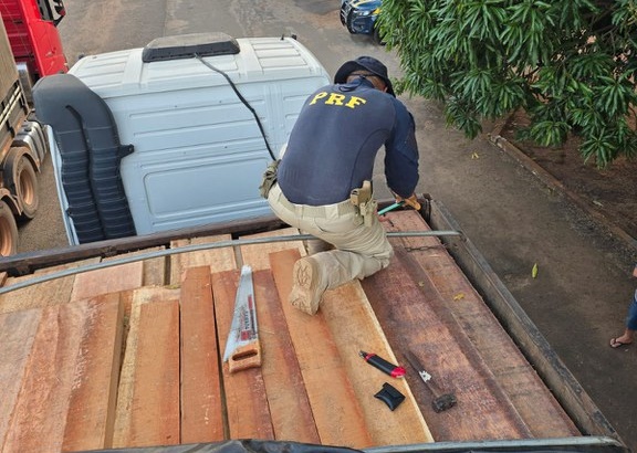 PRF apreende 138,8 m³ de madeira irregular na BR-230, no Tocantins
