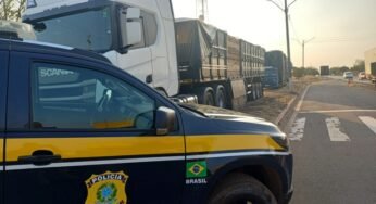 PRF apreende 58 m³ de madeira nativa irregular em Picos e motorista responderá por crime ambiental