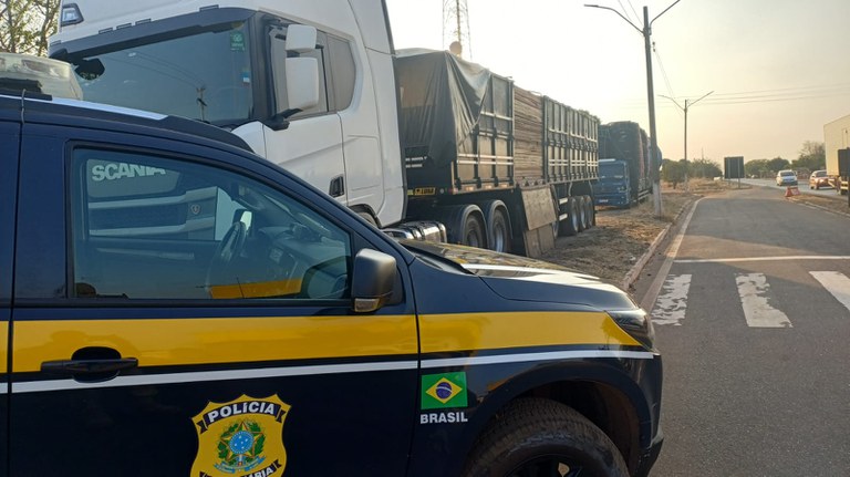 PRF apreende 58 m³ de madeira nativa irregular em Picos e motorista responderá por crime ambiental