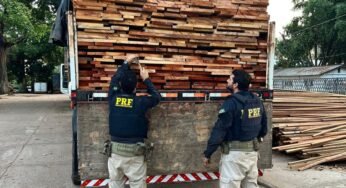 PRF apreende 35 m³ de madeira ilegal em Novo Repartimento (PA)