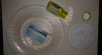 Caminhoneiro é preso na BR-316 após ser flagrado dirigindo sob efeito de drogas