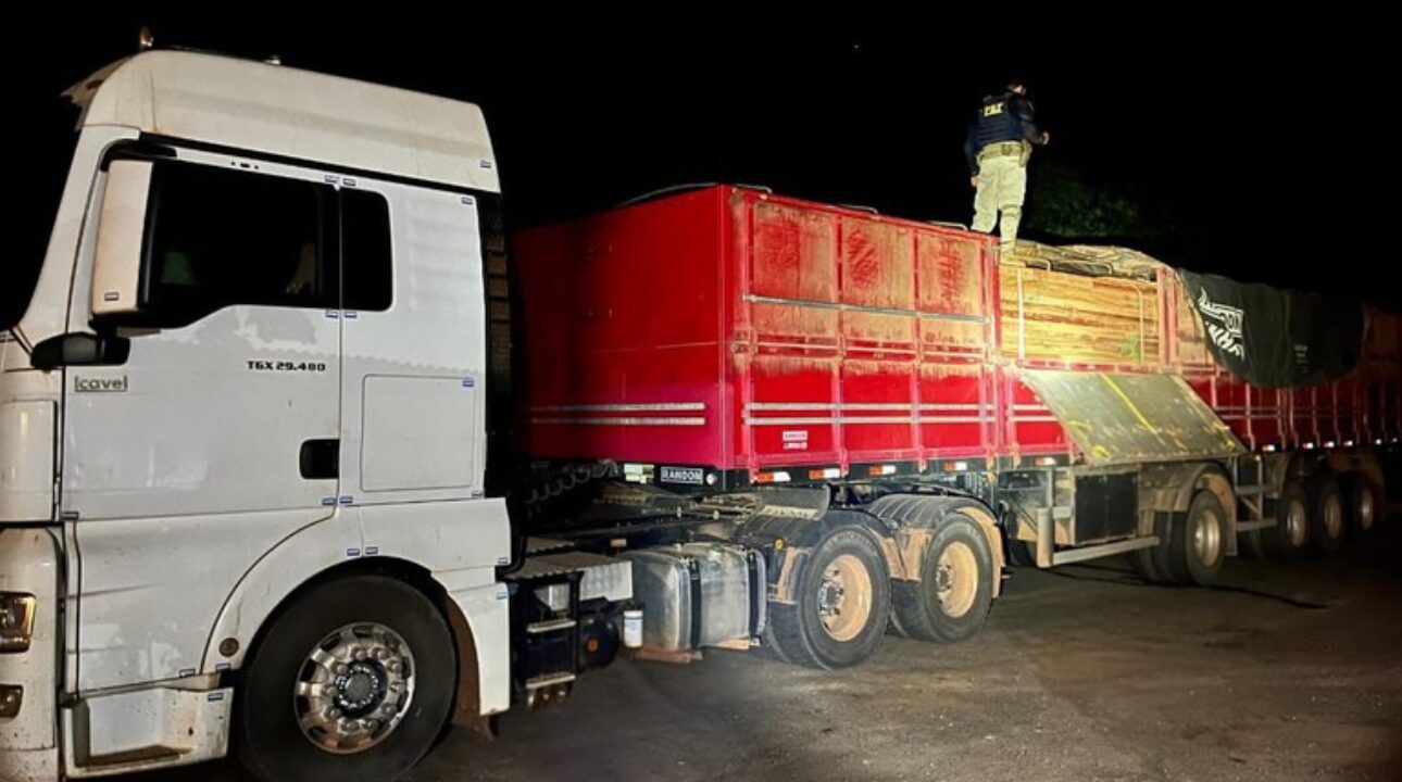 PRF apreende 39 m³ de madeira ilegal na BR-230 em Novo Repartimento (PA)