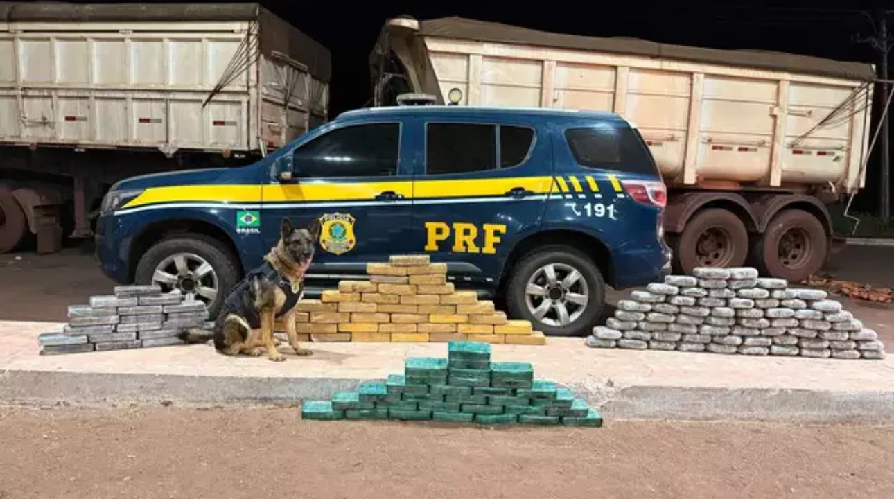 Caminhoneiro é preso com grande quantidade de drogas escondidas em carga de minério na BR-262, MS