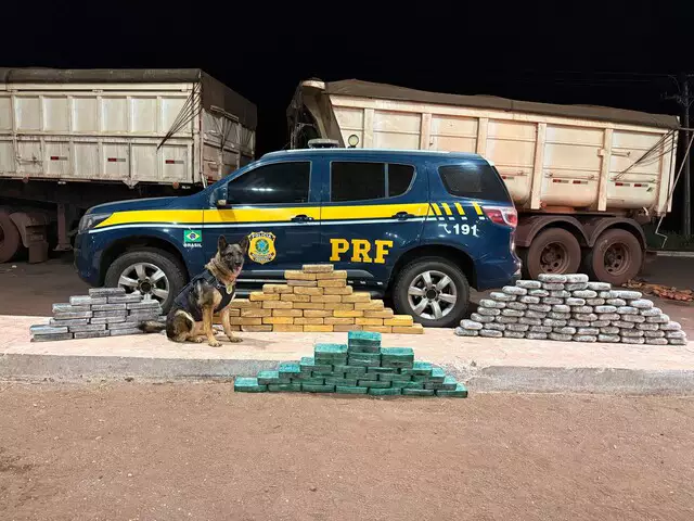 Caminhoneiro é preso com grande quantidade de drogas escondidas em carga de minério na BR-262, MS