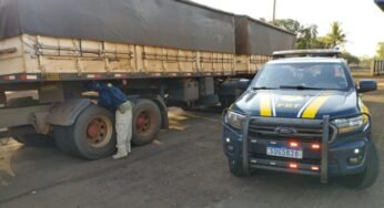 Caminhoneiro de 62 anos é preso por usar placas adulteradas na BR-364 em Jataí (GO)