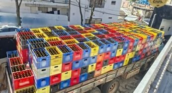 Caminhoneiro é preso transportando cervejas falsificadas em Osasco após abordagem da Polícia Civil