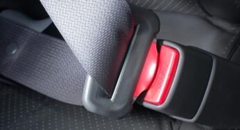 Transportadora é condenada por acidente e morte de caminhoneiro: entenda a decisão do TRT-15