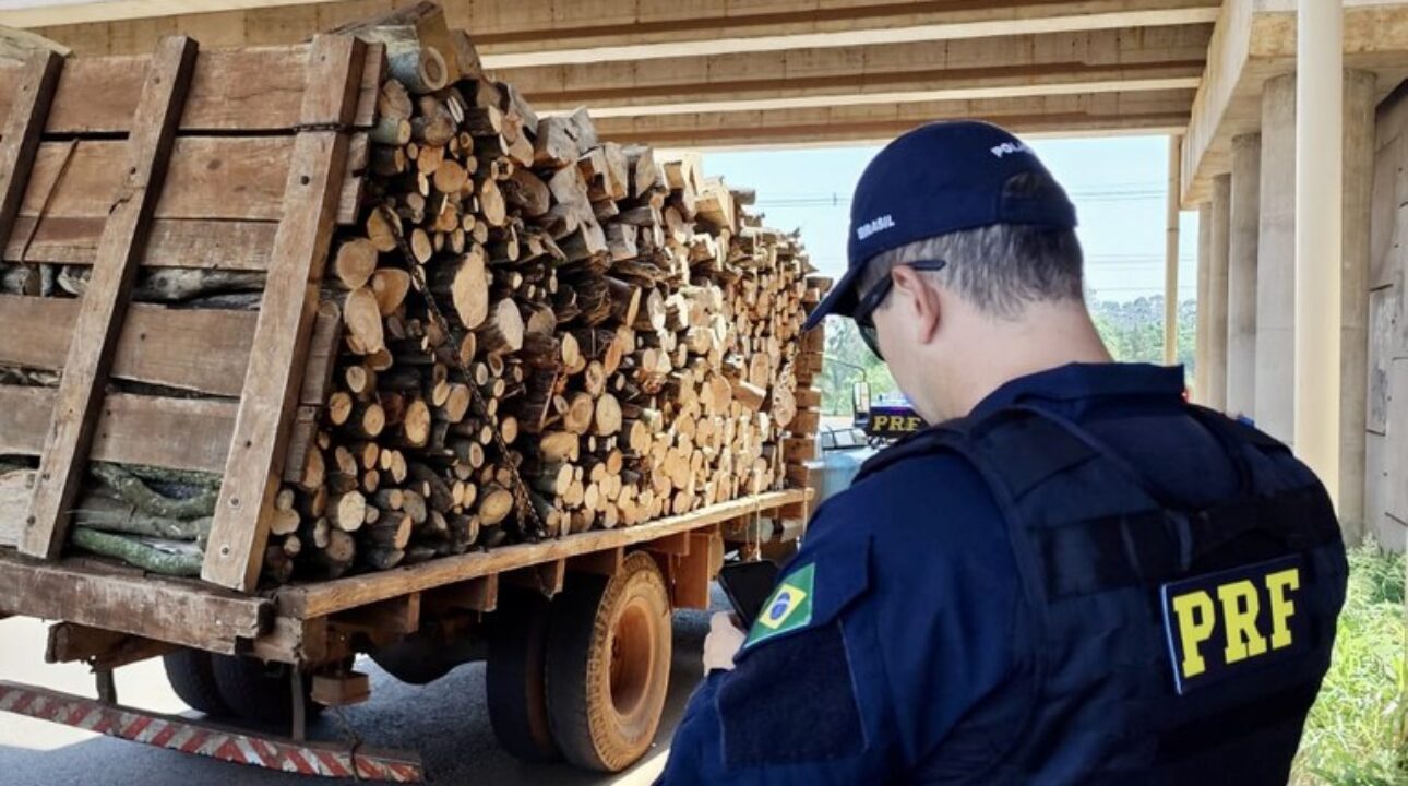 PRF flagra motorista de caminhão usando corda no lugar do cinto de segurança no Paraná