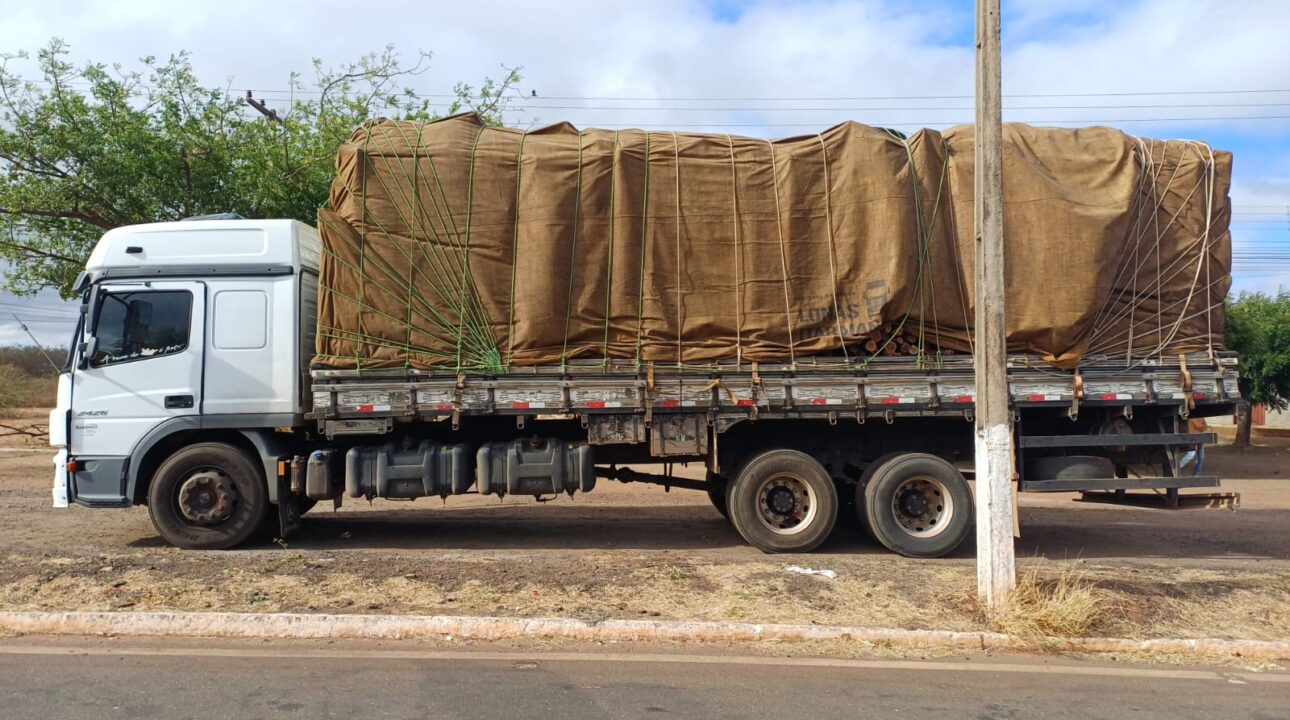 Operação da Polícia Rodoviária Federal apreende três caminhões com madeira irregular na BR-316, em Picos (PI)
