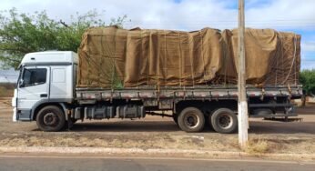 Operação da Polícia Rodoviária Federal apreende três caminhões com madeira irregular na BR-316, em Picos (PI)