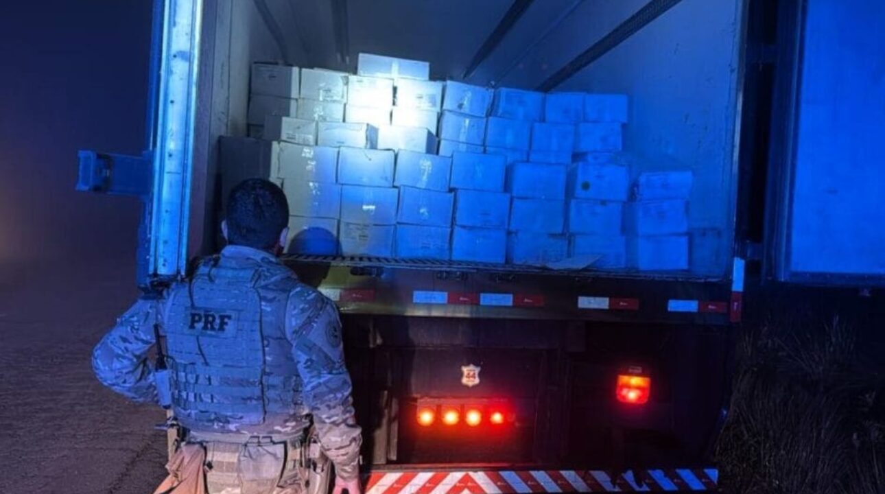 Caminhão com fachada de banda é flagrado transportando carga inusitada em Santa Catarina