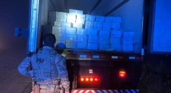 Caminhão com fachada de banda é flagrado transportando carga inusitada em Santa Catarina