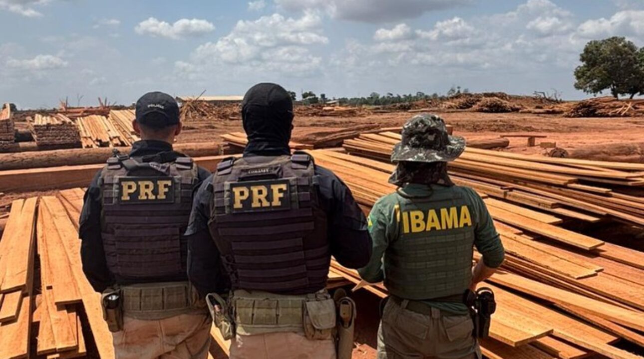 PRF bate recorde nacional e apreende mais de 2.600 m³ de madeira ilegal no Pará