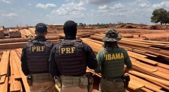 PRF bate recorde nacional e apreende mais de 2.600 m³ de madeira ilegal no Pará