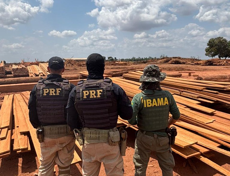 PRF bate recorde nacional e apreende mais de 2.600 m³ de madeira ilegal no Pará