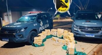 Caminhão com quase meia tonelada de crack é apreendido em rodovia SP-320