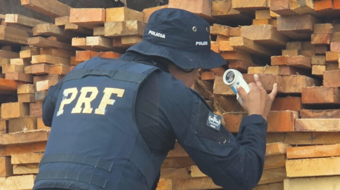 PRF apreende 39,9 m³ de madeira nativa transportada ilegalmente em Bela Vista (MA)